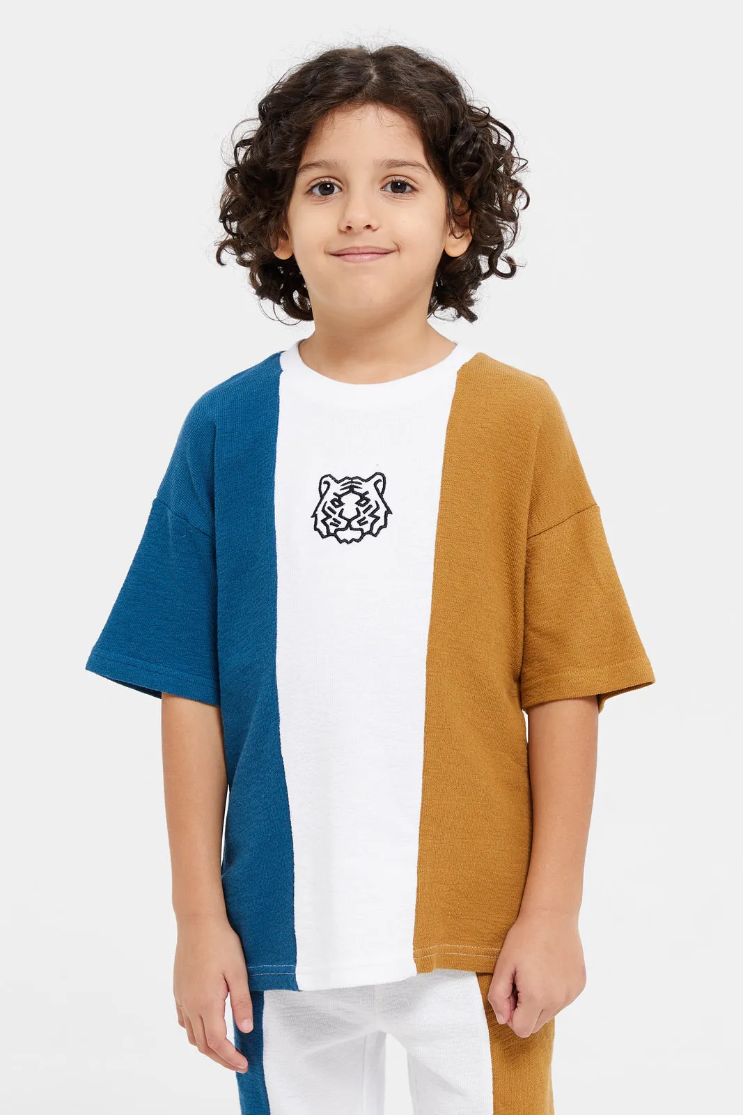 Boys Multicolour Paneled T-Shirt Set (2 Piece)